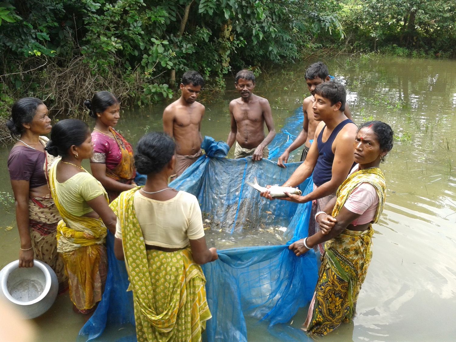 Unsettling (water) scarcity one raindrop at the time: Learning from the Revitalised Rainfed Agriculture Network in India